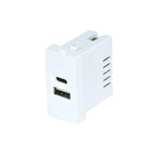 Twin Port TypeA+C Usb Charger Socket Module